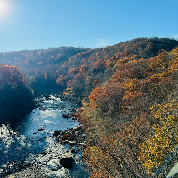 Meet your Posher, Sara - Picture 7 of 14